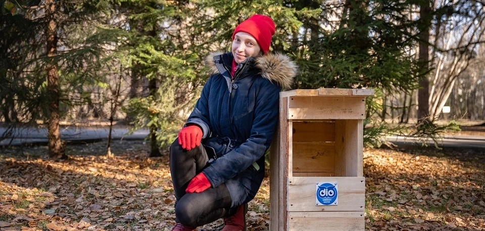 Вот так выглядят домики для сов, или совятники, фото: ТГУ