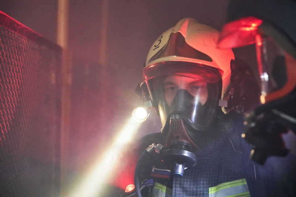 Спасатели Дона за неделю спасли десять человек при пожарах и ДТП.