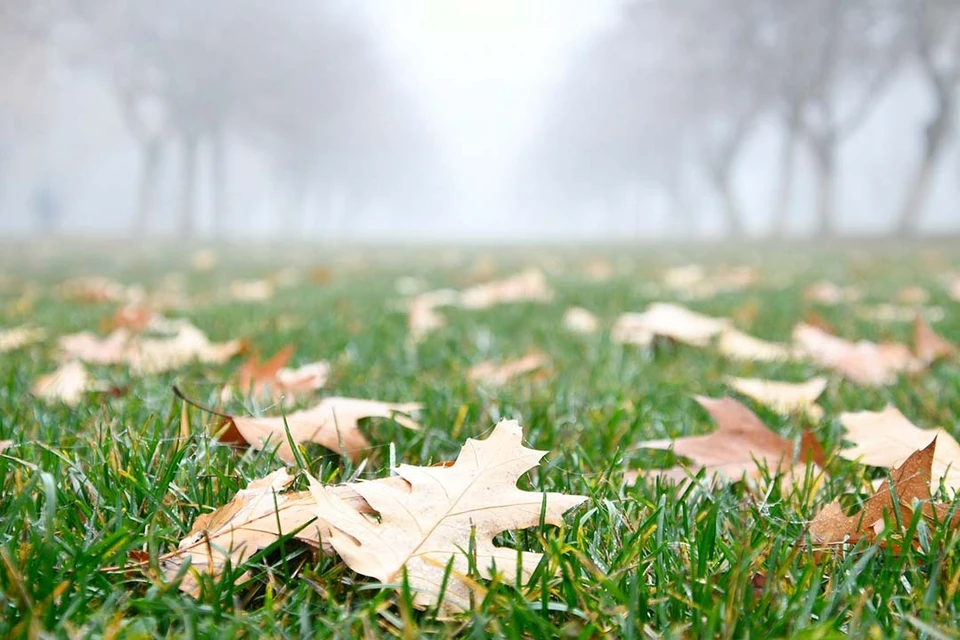 Воздух прогреется максимум до +5 градусов.