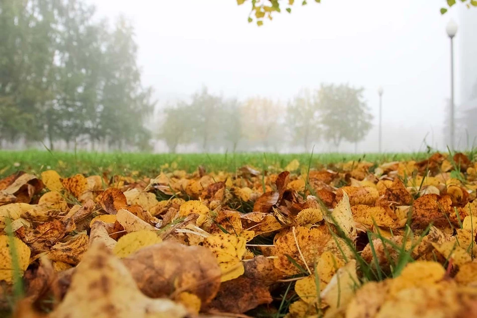 Местами возможны локальные дожди.