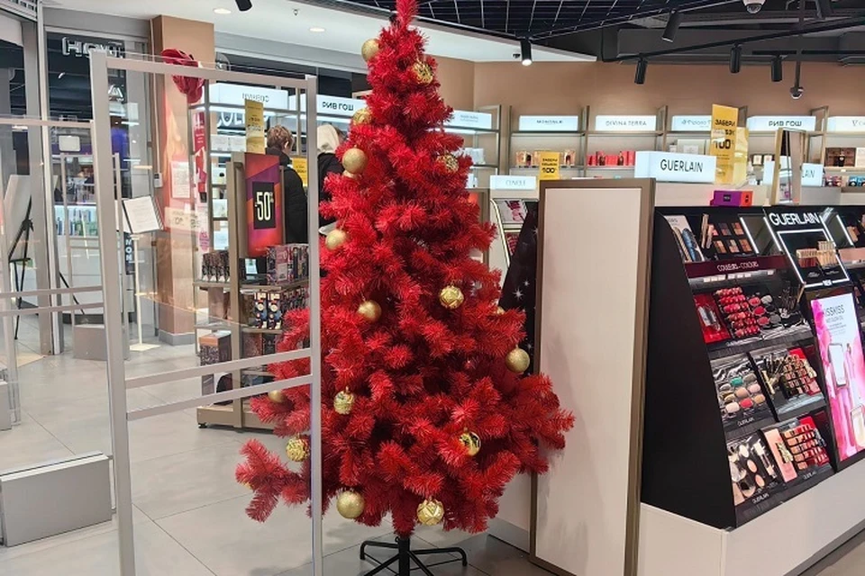 Купить или не купить, вот в чем вопрос