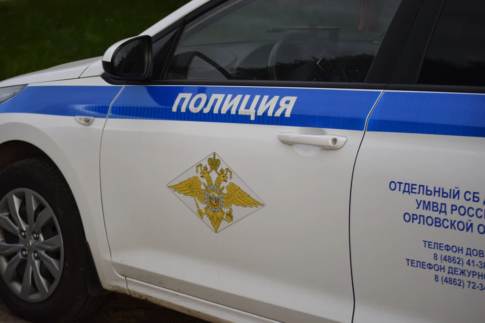 Фото: Елена Зябкина