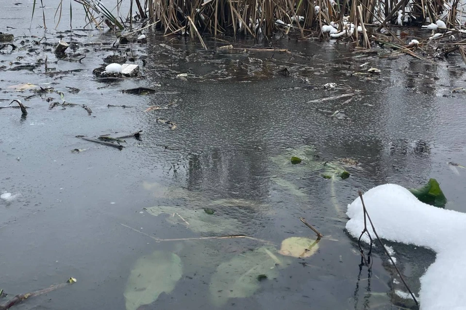 Всего в списке значатся восемь алтайских озер и болот