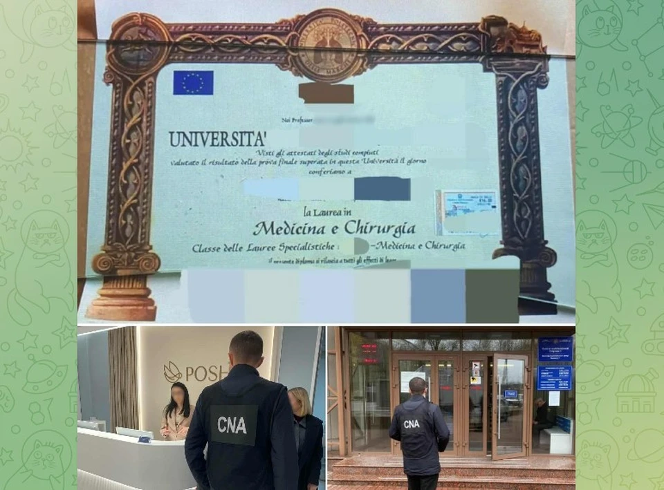 Задержана начальница многофункционального центра Агентства публичных услуг. Фото: НАЦ