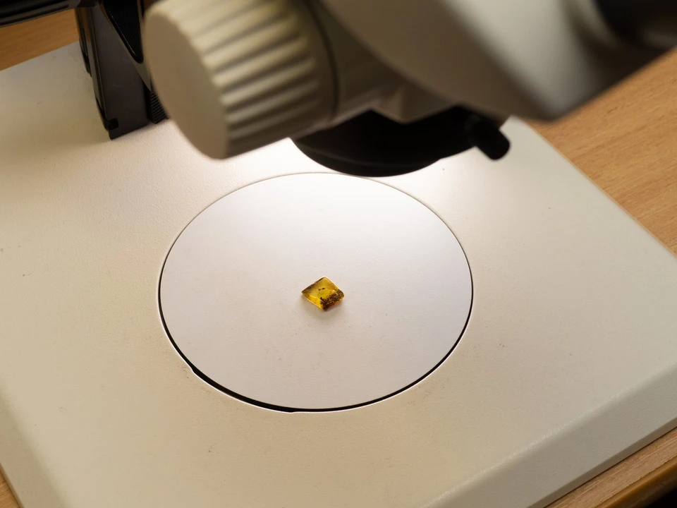 Изучать камушек пришлось через микроскоп.