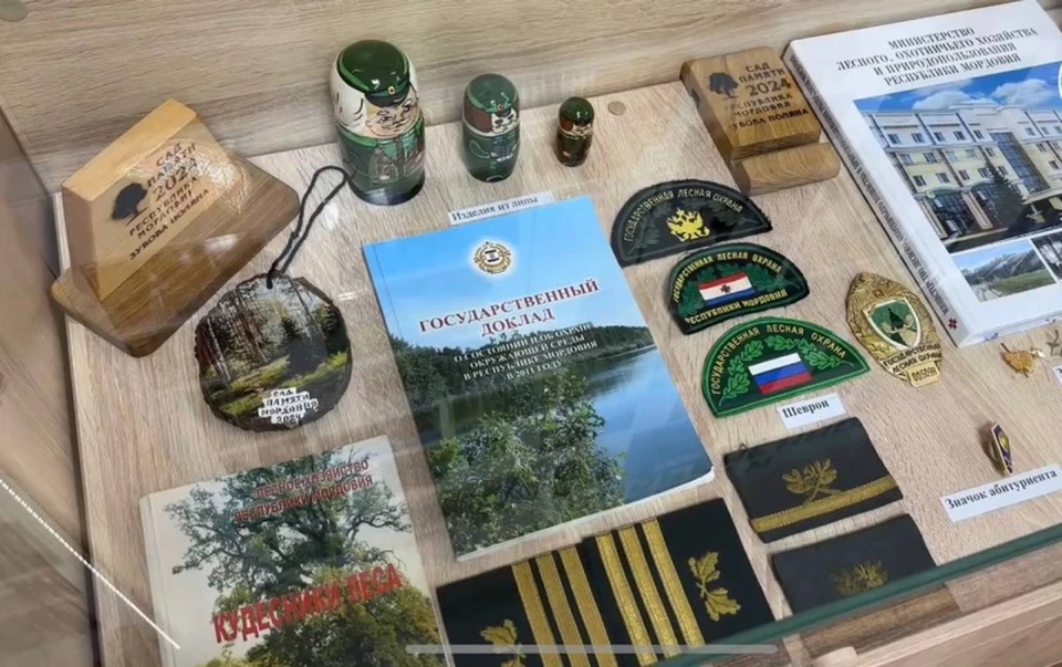 Фото: Министерство лесного, охотничьего хозяйства и природопользования Республики Мордовия.
