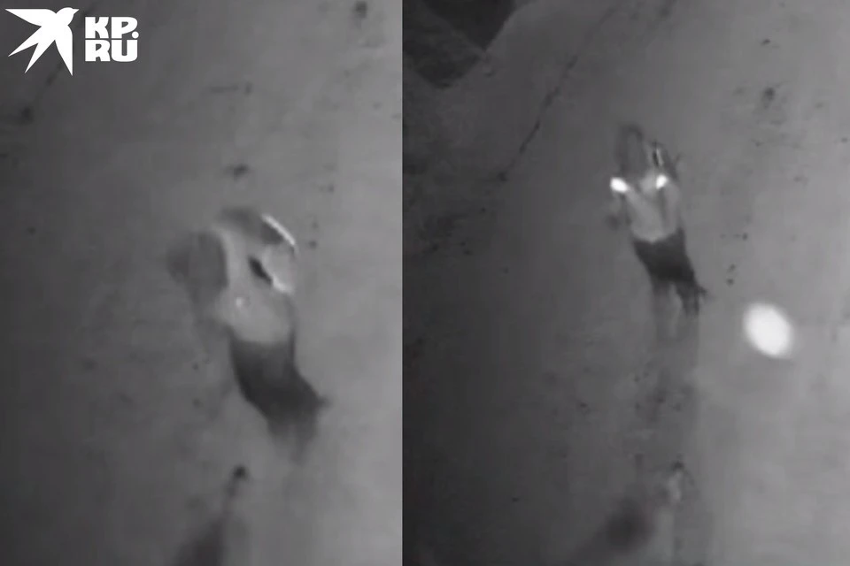 Собака прокусила голень девочке, ее спасли зимние штаны. Фото: предоставлено отцом ребенка