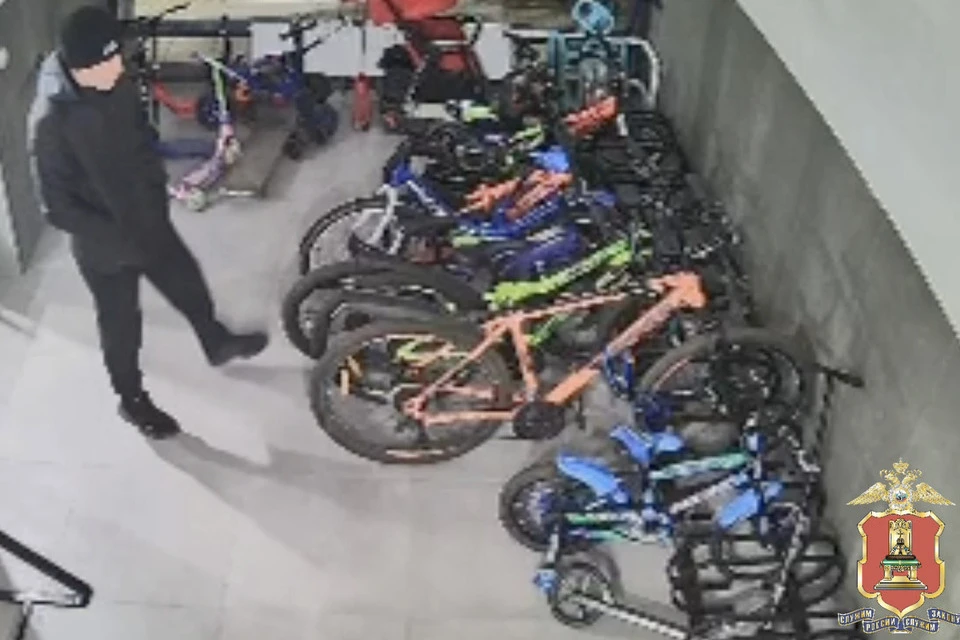 Силовики допускают, что танец мог носить ритуальный характер. Видео: УМВД России по Тверской области.