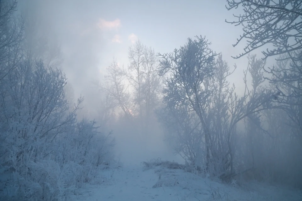 Зиму будут характеризовать многочисленные оттепели.