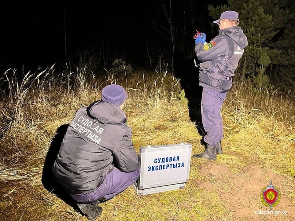 Экспертиза позволила установить причину гибели 14-летнего подростка под Березино. Фото: ГКСЭ.