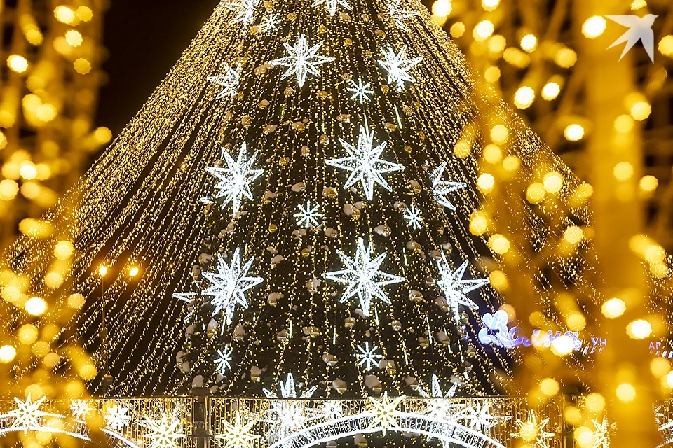 Вероятно, что открытие елки перенесут и в Полярном: зеленая красавица не устояла под натиском сильного ветра.