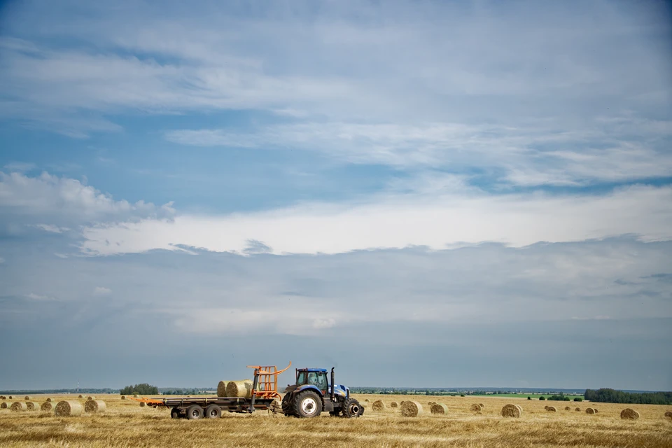 Средства областного бюджета направят на поддержку сельского хозяйства