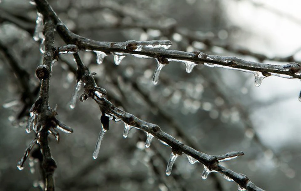 Первые весточки зимы.
