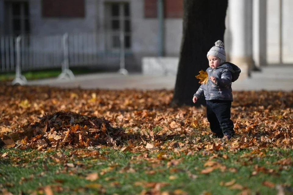 Температура воздуха днем 15 ноября составит +11…+13 градусов Фото из архива КП