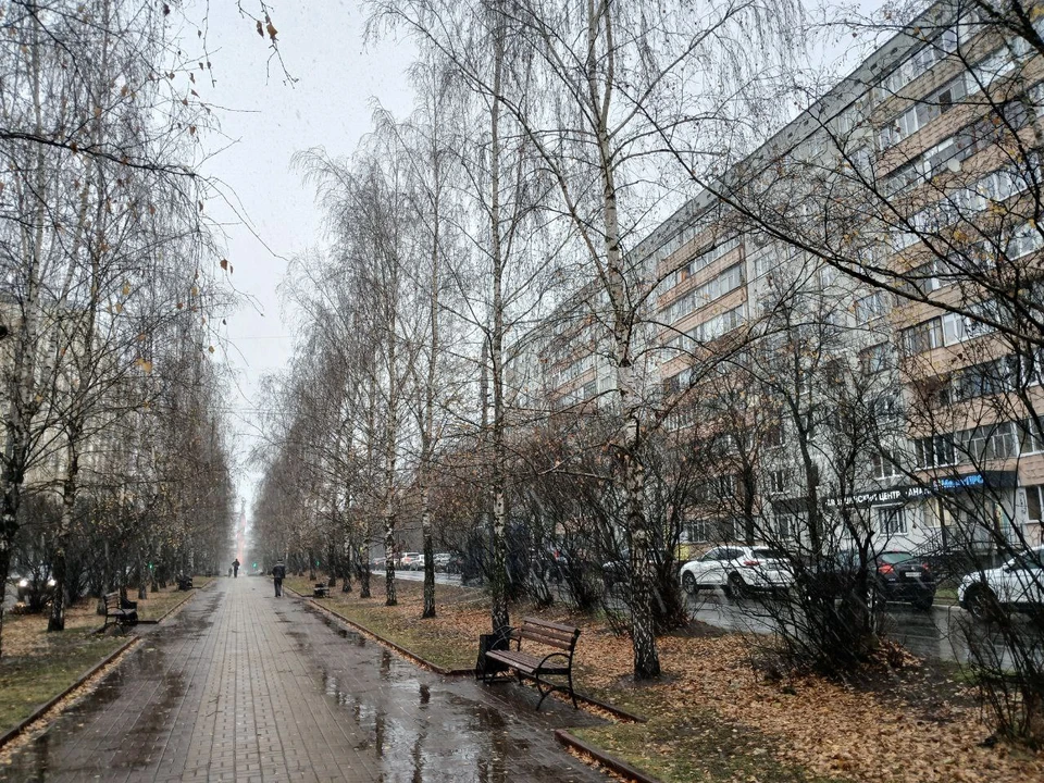 Калуга 15 ноября.