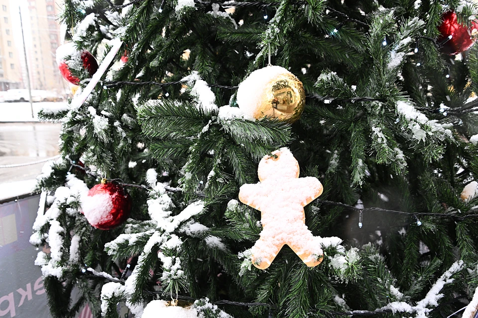 Ночью 15 ноября в столичном регионе прошел первый снег