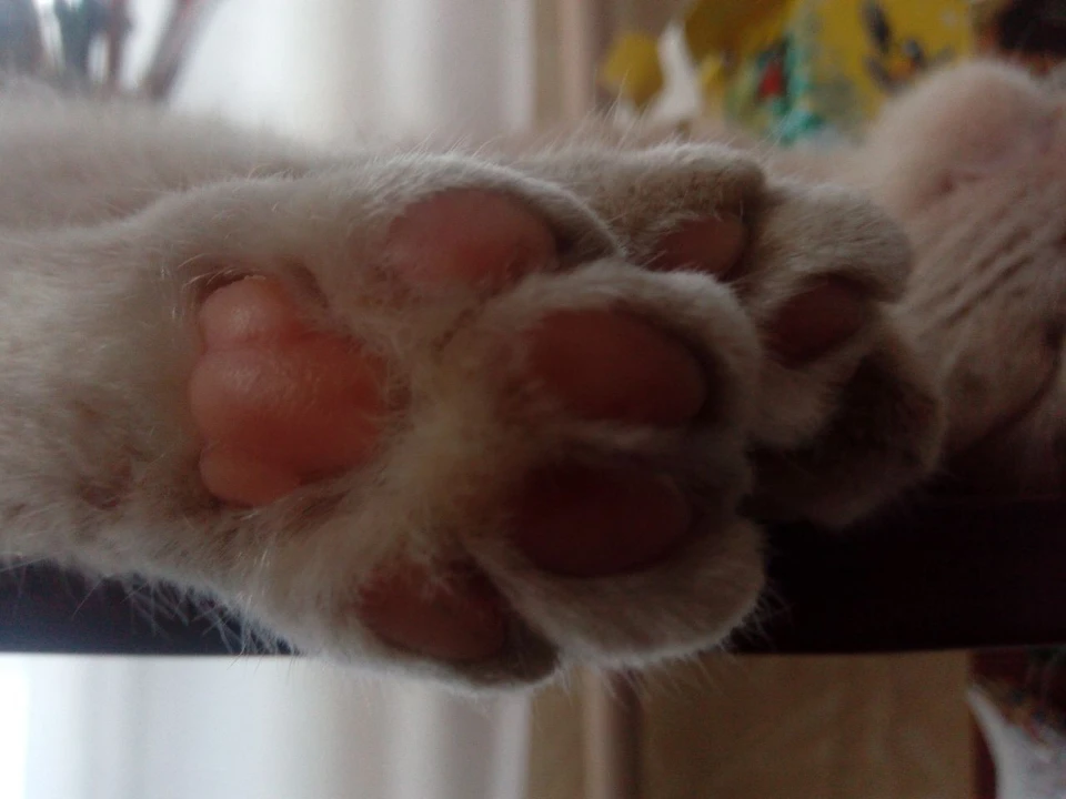 Фото из архива