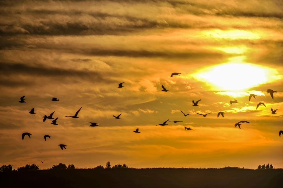 Свердловчан в ноябре ожидают еще три магнитные бури