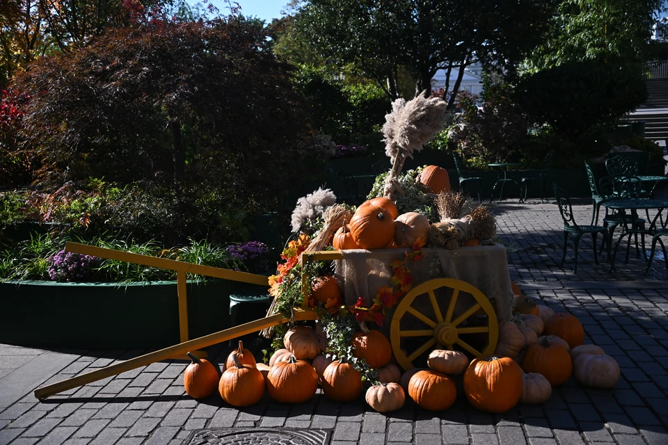 Telegraf заявило о жалобах украинских фермеров на дефицит рук из-за мобилизации