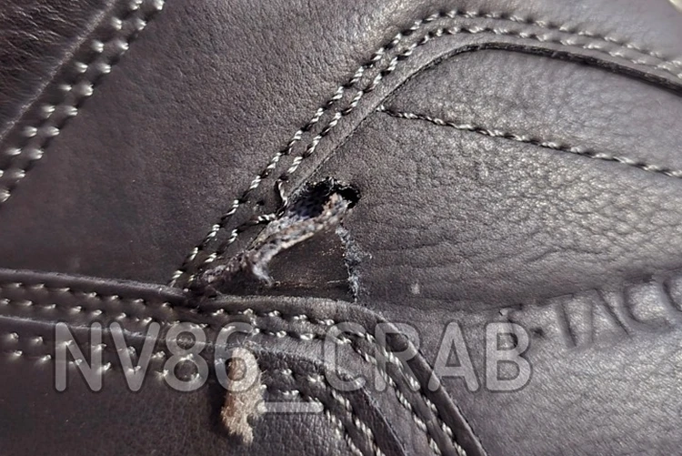 Александр Бастрыкин взял на контроль дело о нападении собаки на ребенка в Нижневартовске