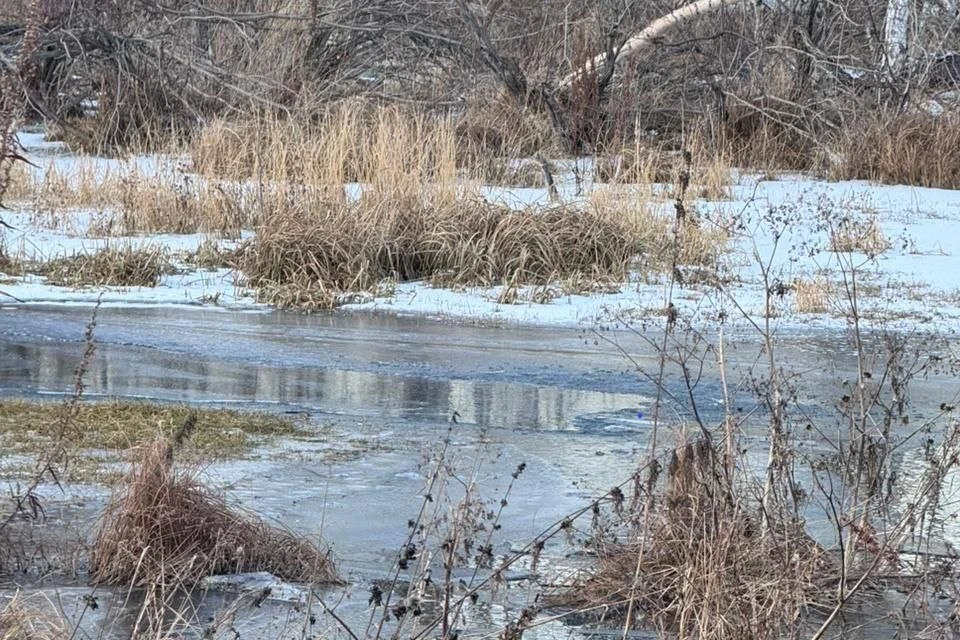 Фото: ГСУ СК России по Красноярскому краю и Республике Хакасия