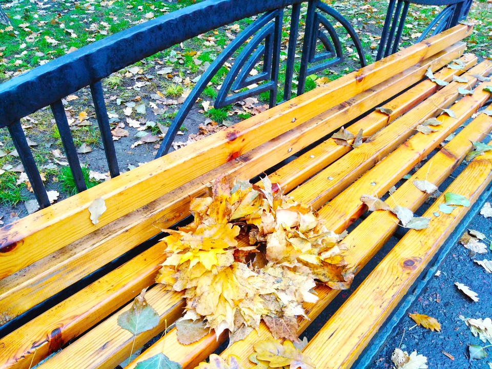 До +16 градусов потеплеет в Белгородской области 18 ноября