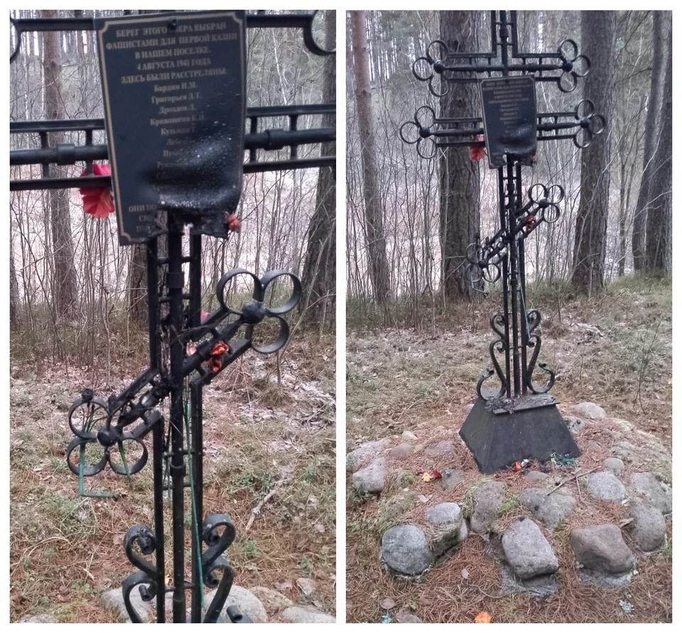 Фото: газета «Струги».