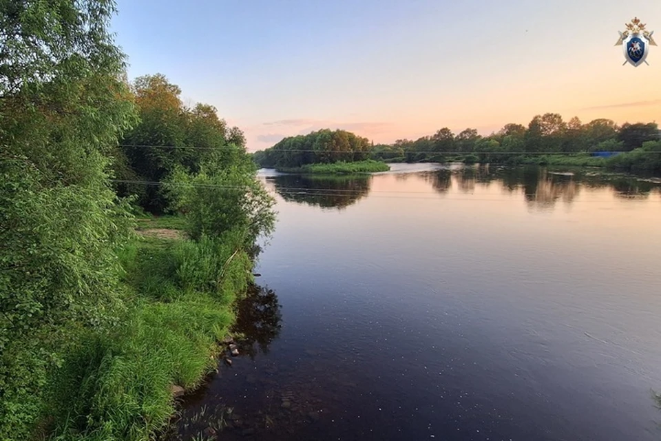 Мужчина не заметил провода, свисающие между веток деревьев