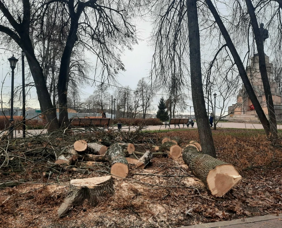 Фото: Телеграм-канал "Жуткая Кострома"