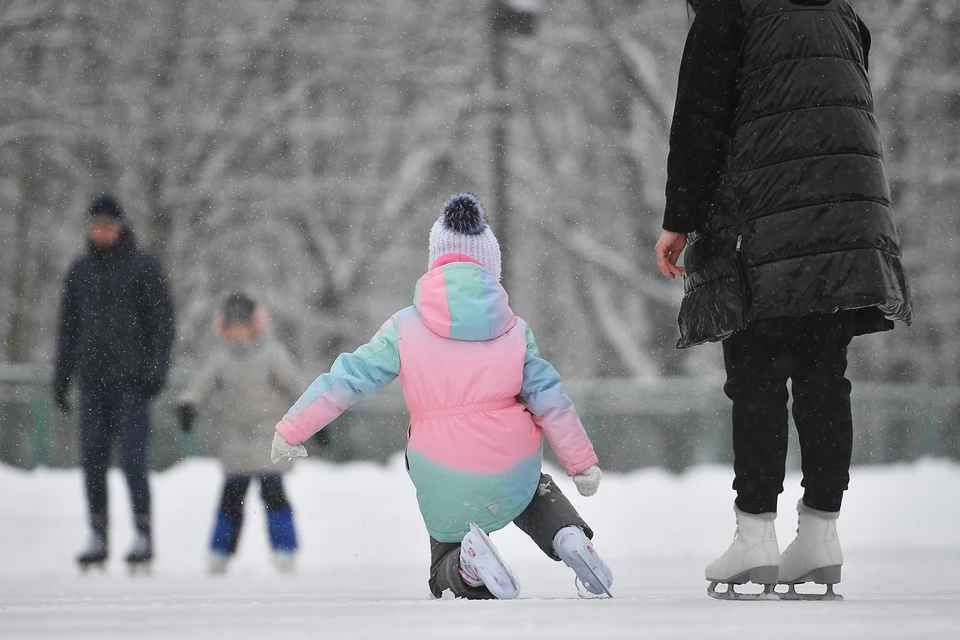 Закупка на строительство катка в парке не состоялась.