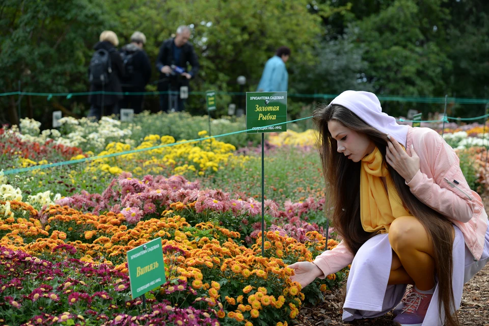 На Южном берегу Крыма проходит выставка осенних цветов
