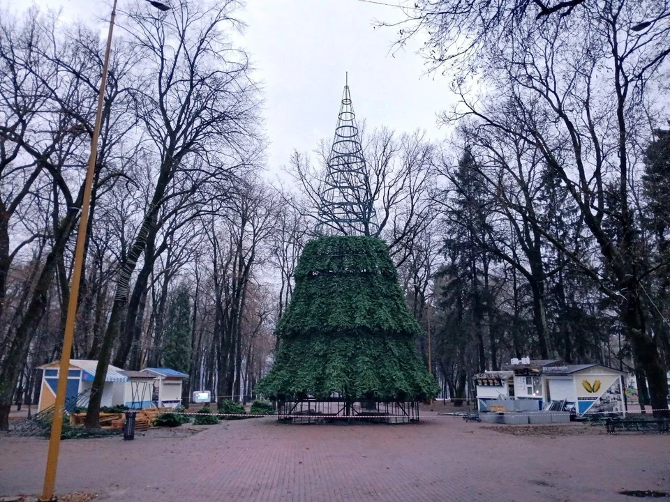 Город начал новогоднее украшение с установки ёлок.