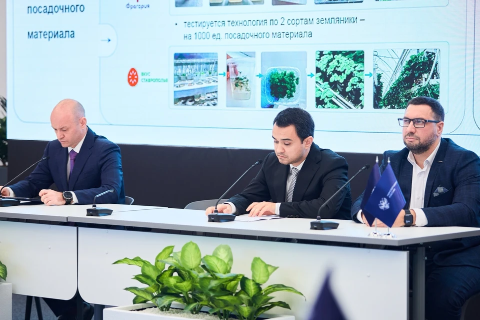 Фото: пресс-служба СтГАУ