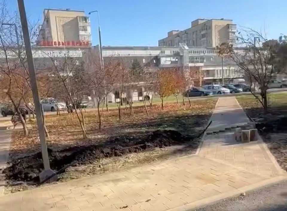 Фото: соцсети Михаила Миненкова