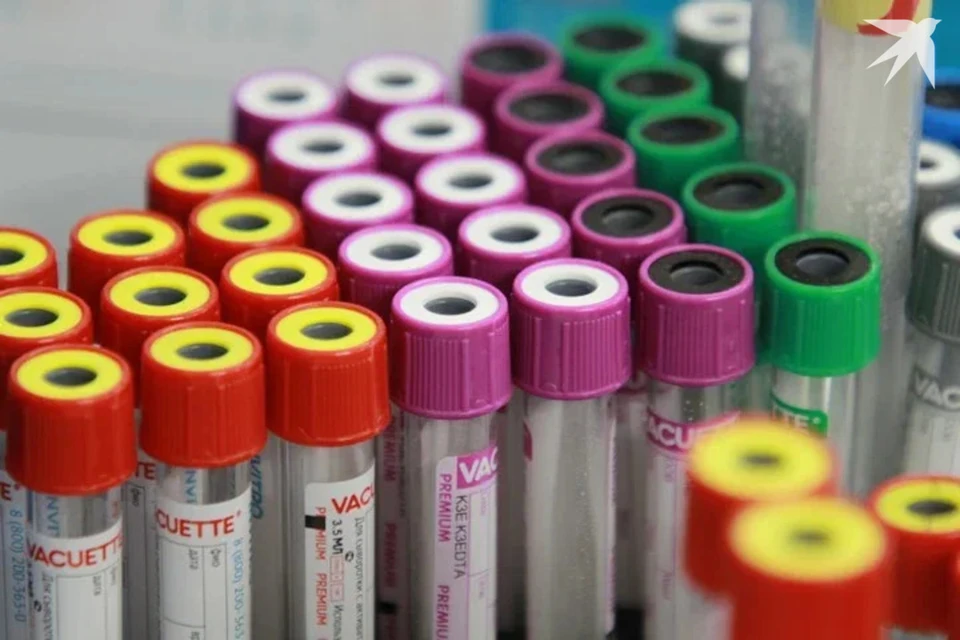 Белорус сделал ДНК-экспертизу на отцовство и перестал быть многодетным. Снимок носит иллюстративный характер.