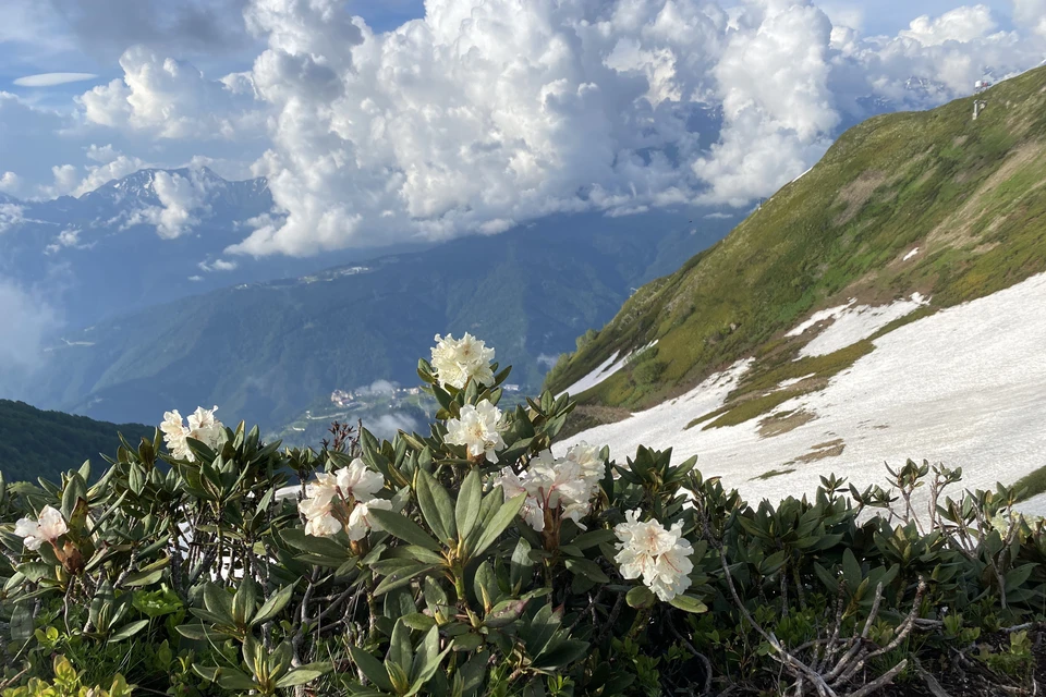 Поиски продолжаются Фото: Елена КРИВЯКИНА