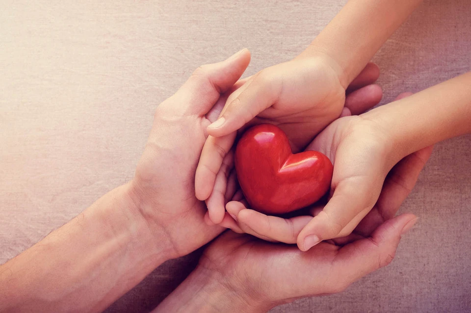 Фото: SewCreamStudio/Shutterstock/Fotodom