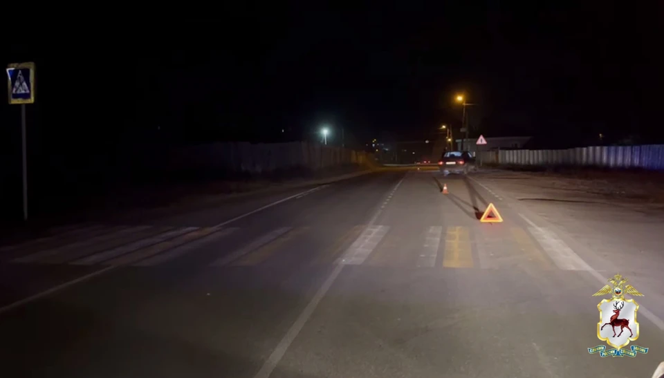 Уголовное дело возбуждено после гибели двух пенсионерок в ДТП в Выксе.