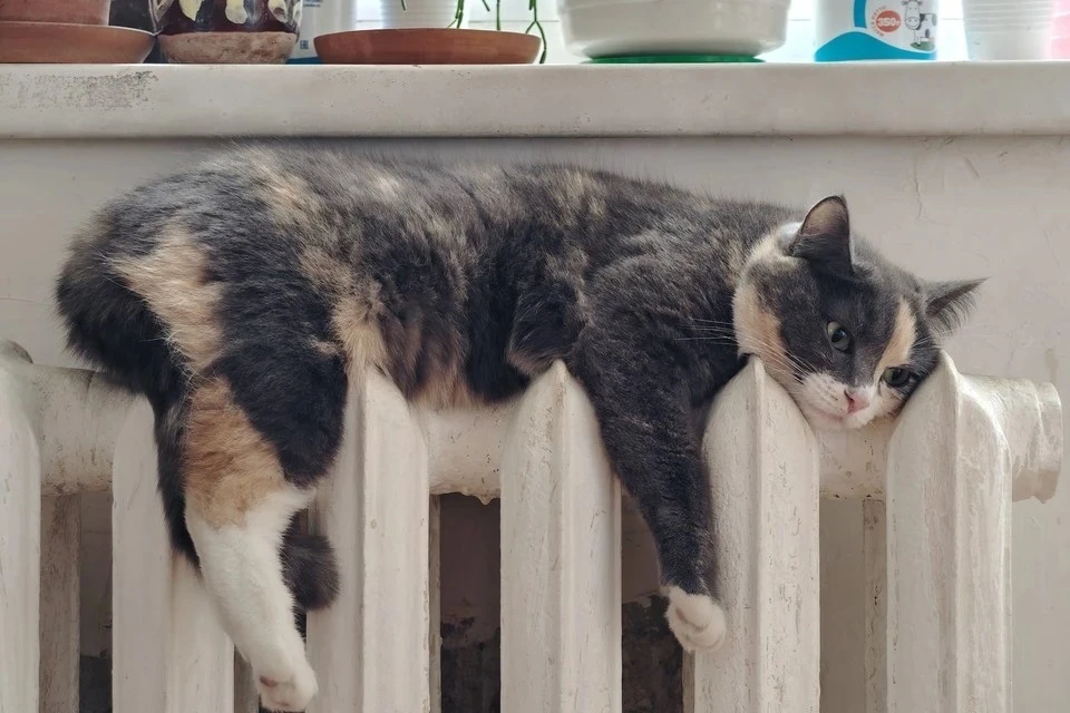 Кировская прокуратура обнаружила 467 нарушений во время отопительного сезона