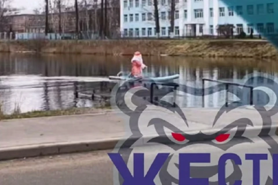 Дед кружил по пруду на сапе. Фото: телеграм-канал Жесть Ярославль.
