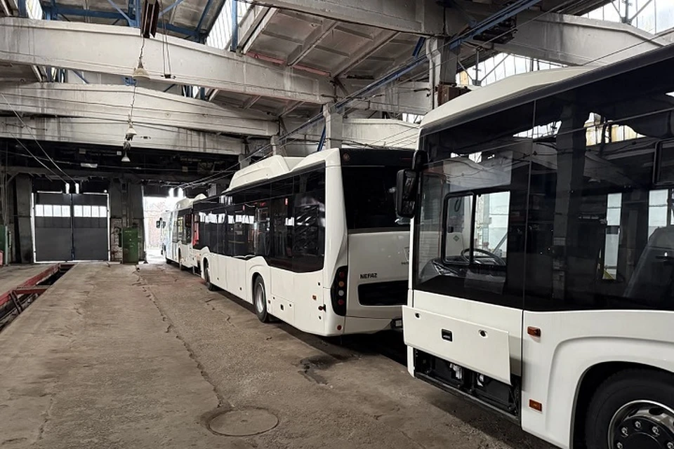 Автопарк ДНР пополнился восемью новыми автобусами большого класса. Фото: Минтранс ДНР