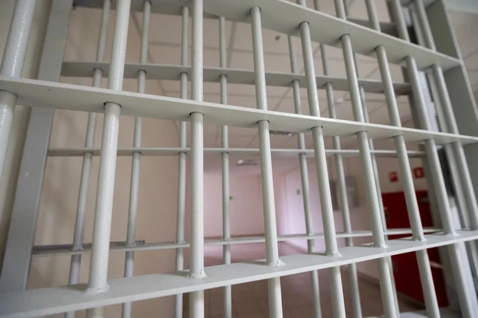 Редактора URA.RU встретился в суде со своим дядей, который дал против него показания.