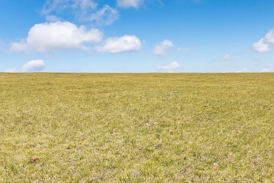 Овощевода на Ставрополье осудили за хищение более двух млн рублей субсидий. Фото: УФСБ России по СК