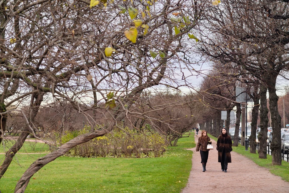 Последняя неделя осени обещает быть теплой.