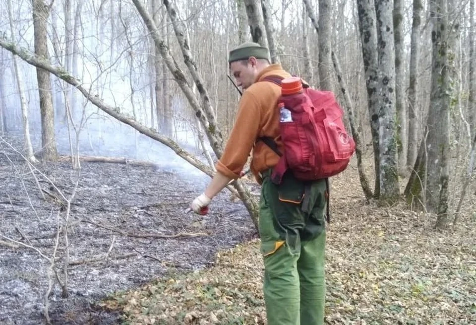 Фото: ГБУ КК «Краевой лесопожарный центр»