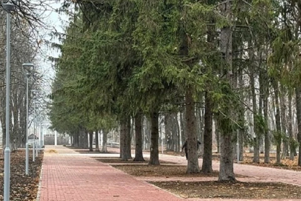 Планируется, что обновленная эко-тропа станет излюбленным местом для пеших прогулок и отдыха на природе для жителей Макеевки. Фото (архив): Минстрой ДНР