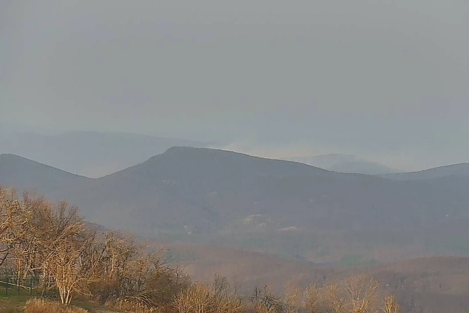 Три лесных пожара тушат на Кубани Фото: Краевой лесопожарный центр