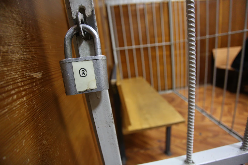 Фигуранту грозит до 10 лет лишения свободы.