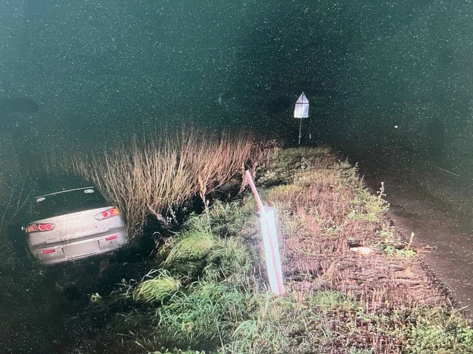 Фото: пресс-служба Госавтоинспекции УМВД России по Костромской области