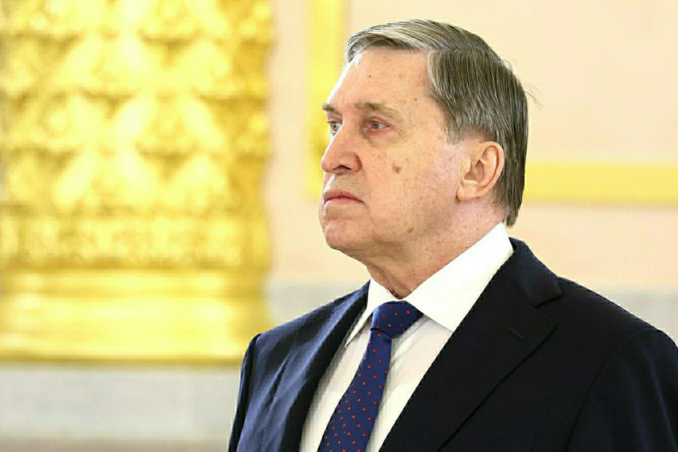 В Кремле ознакомились с планом Трампа по Украине: подробности